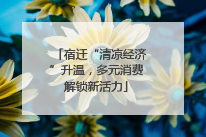 宿迁“清凉经济”升温，多元消费解锁新活力