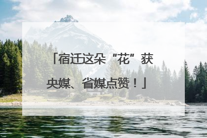 宿迁这朵“花”获央媒、省媒点赞！