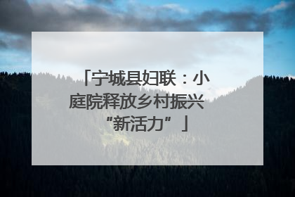 宁城县妇联：小庭院释放乡村振兴“新活力”