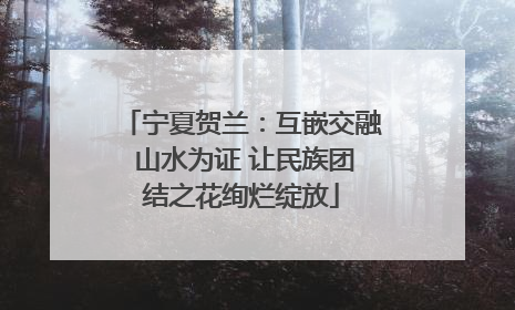 宁夏贺兰：互嵌交融 山水为证 让民族团结之花绚烂绽放