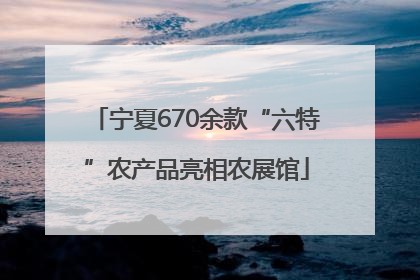 宁夏670余款“六特”农产品亮相农展馆