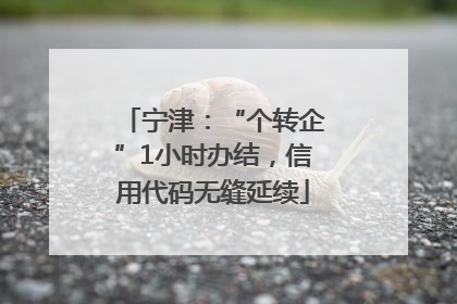 宁津：“个转企”1小时办结，信用代码无缝延续