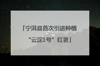 宁洱县首次引进种植“云淀1号”红薯