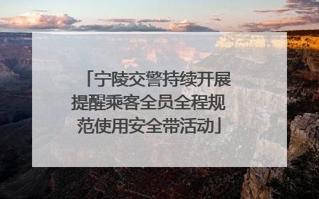 宁陵交警持续开展提醒乘客全员全程规范使用安全带活动