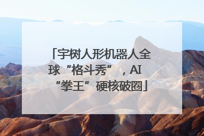 宇树人形机器人全球“格斗秀”，AI“拳王”硬核破圈