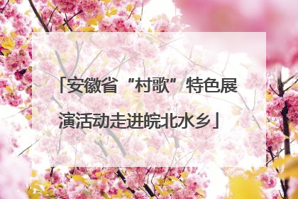 安徽省“村歌”特色展演活动走进皖北水乡