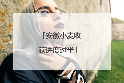 安徽小麦收获进度过半