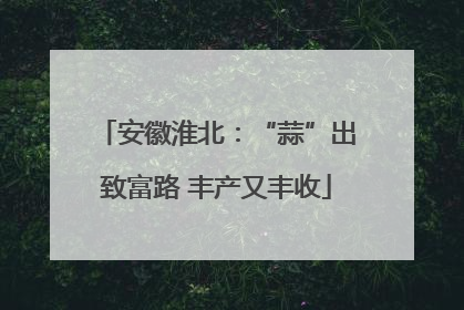 安徽淮北：“蒜”出致富路 丰产又丰收