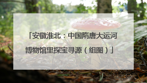 安徽淮北：中国隋唐大运河博物馆里探宝寻源（组图）