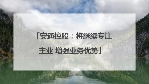 安通控股：将继续专注主业 增强业务优势