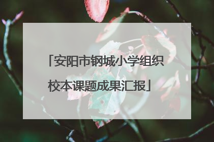 安阳市钢城小学组织校本课题成果汇报