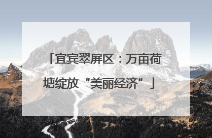 宜宾翠屏区：万亩荷塘绽放“美丽经济”