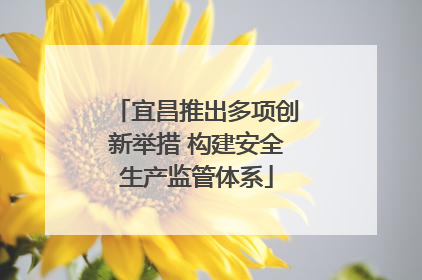 宜昌推出多项创新举措 构建安全生产监管体系