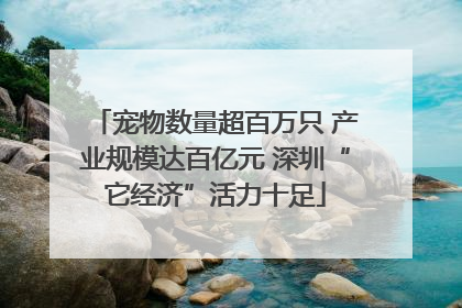 宠物数量超百万只 产业规模达百亿元 深圳“它经济”活力十足