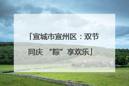 宣城市宣州区：双节同庆 “粽”享欢乐
