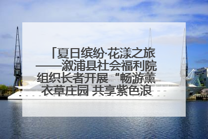 夏日缤纷·花漾之旅——溆浦县社会福利院组织长者开展“畅游薰衣草庄园 共享紫色浪漫”户外活动