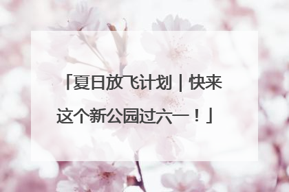 夏日放飞计划｜快来这个新公园过六一！