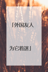 外国友人为它着迷