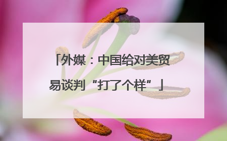 外媒：中国给对美贸易谈判“打了个样”