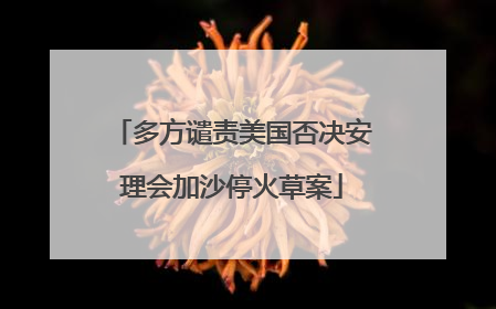 多方谴责美国否决安理会加沙停火草案