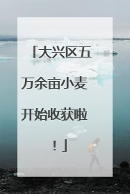 大兴区五万余亩小麦开始收获啦！
