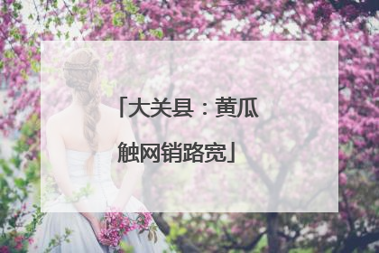 大关县：黄瓜触网销路宽