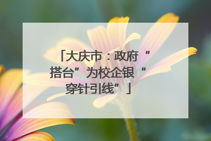 大庆市：政府“搭台”为校企银“穿针引线”