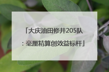 大庆油田修井205队：毫厘精算创效益标杆