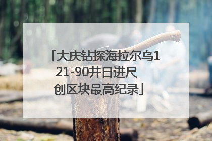 大庆钻探海拉尔乌121-90井日进尺 创区块最高纪录