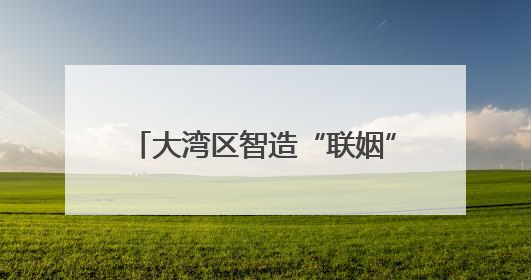 大湾区智造“联姻”精铸小镇 嘉禾借合作“破茧”产业升级