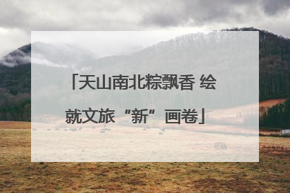 天山南北粽飘香 绘就文旅“新”画卷