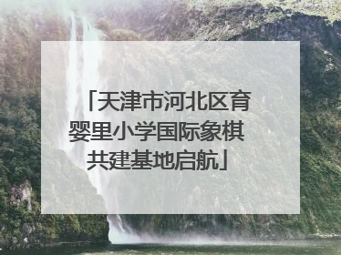 天津市河北区育婴里小学国际象棋共建基地启航