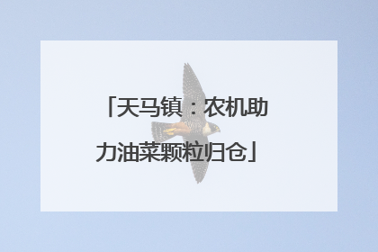 天马镇：农机助力油菜颗粒归仓