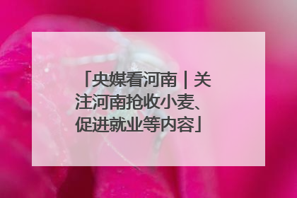 央媒看河南｜关注河南抢收小麦、促进就业等内容