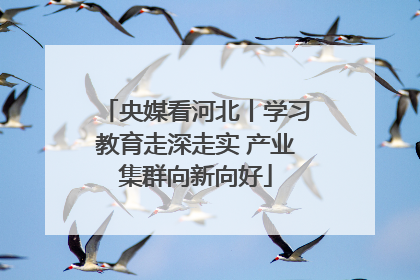 央媒看河北丨学习教育走深走实 产业集群向新向好