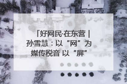 好网民·在东营｜孙雪慧：以“网”为媒传税音 以“屏”为介助发展
