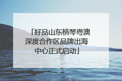 好品山东横琴粤澳深度合作区品牌出海中心正式启动