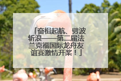 奋楫起航、劈波斩浪——第二届法兰克福国际龙舟友谊赛激情开桨！