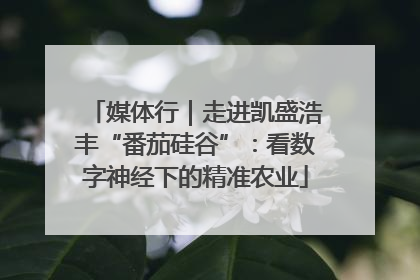 媒体行｜走进凯盛浩丰“番茄硅谷”：看数字神经下的精准农业