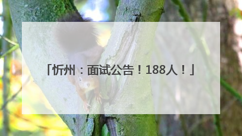 忻州：面试公告！188人！