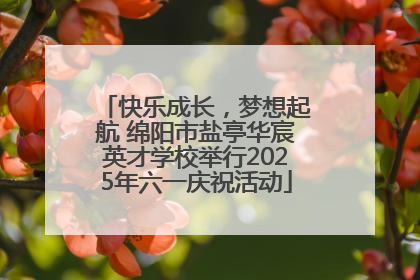 快乐成长，梦想起航 绵阳市盐亭华宸英才学校举行2025年六一庆祝活动