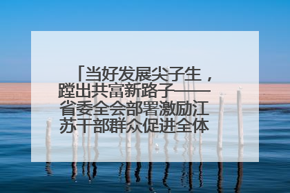 当好发展尖子生，蹚出共富新路子——省委全会部署激励江苏干部群众促进全体人民共同富裕