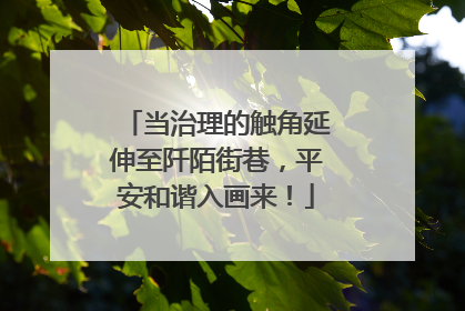 当治理的触角延伸至阡陌街巷，平安和谐入画来！