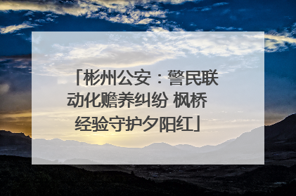彬州公安：警民联动化赡养纠纷 枫桥经验守护夕阳红