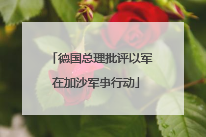 德国总理批评以军在加沙军事行动