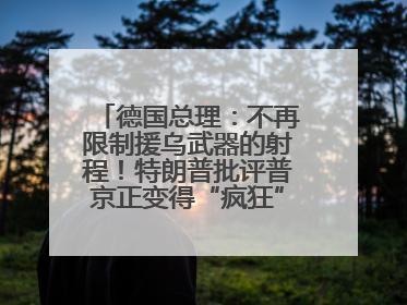 德国总理：不再限制援乌武器的射程！特朗普批评普京正变得“疯狂”，俄方最新回应