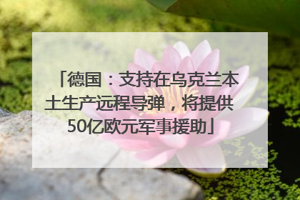 德国：支持在乌克兰本土生产远程导弹，将提供50亿欧元军事援助