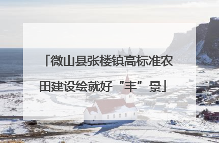 微山县张楼镇高标准农田建设绘就好“丰”景