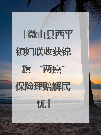微山县西平镇妇联收获锦旗 “两癌”保险理赔解民忧