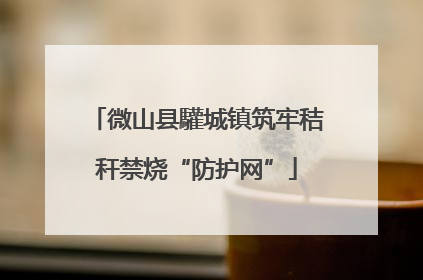 微山县驩城镇筑牢秸秆禁烧“防护网”